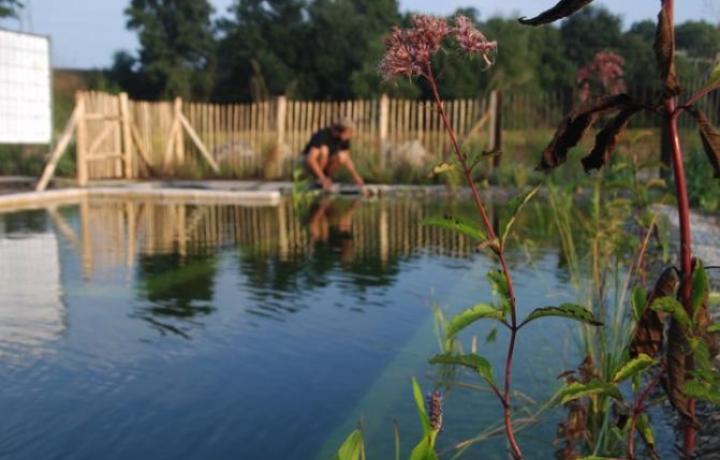 Der Schwimmteich kurz vor Fertigstellung