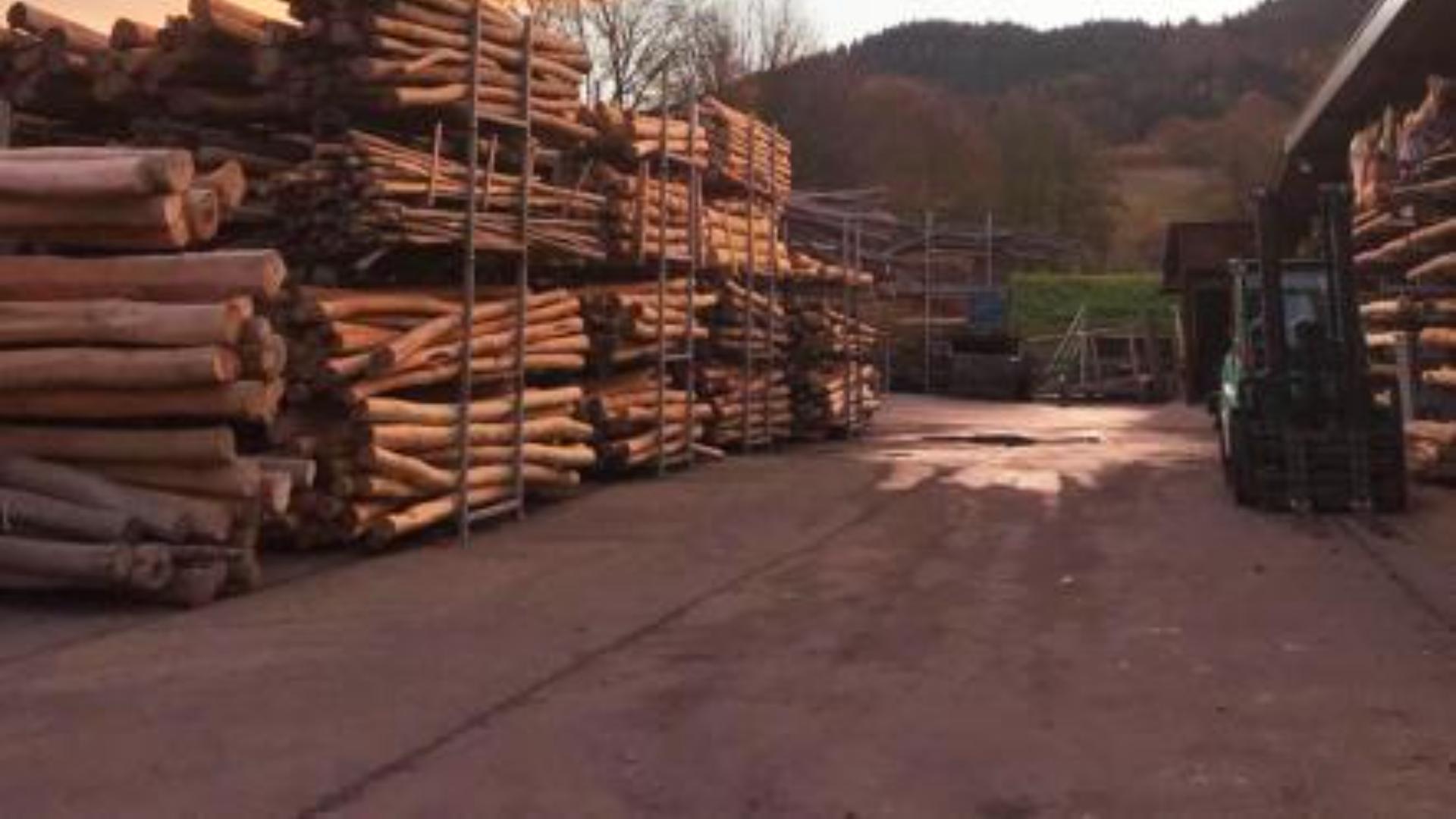 baumann + trapp gmbh