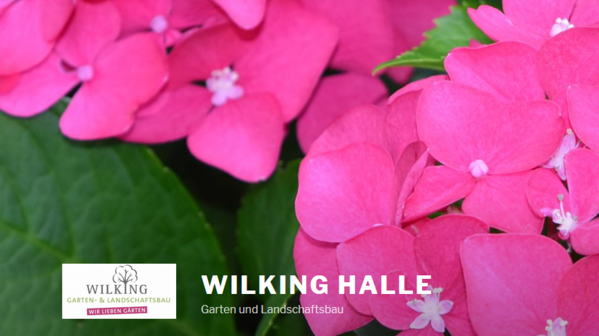 Wolfgang Wilking Garten-und Landschaftsbau GmbH