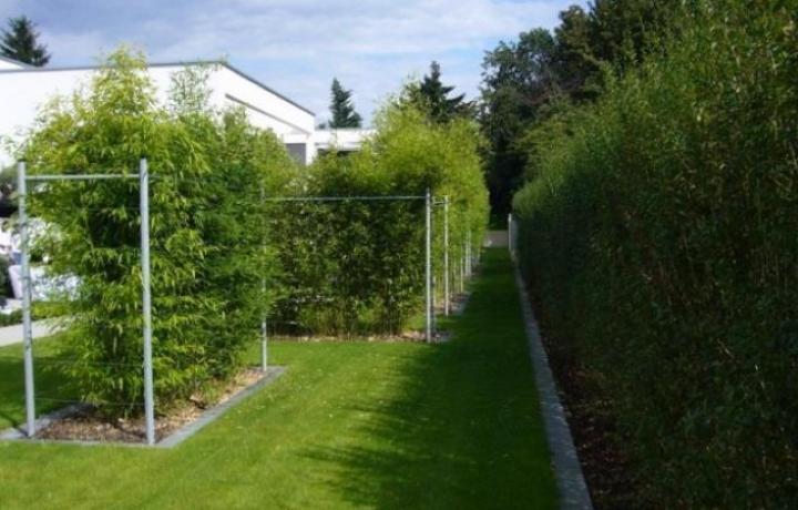 Wohngarten in Köln