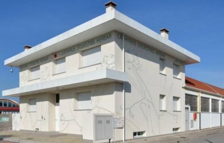 Umwandlung vom Wohnen zum Büro