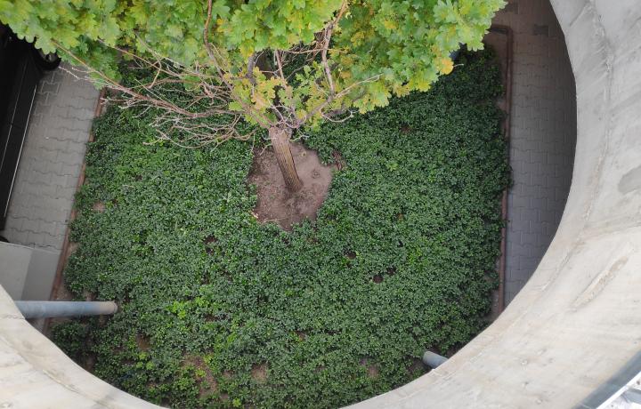 Meilen.Stein Quercus in Tiefgarage