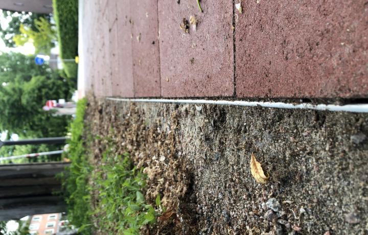 Randeinfassung Viaflex in einer Hauptausfallstraße im östlichen Hamburg